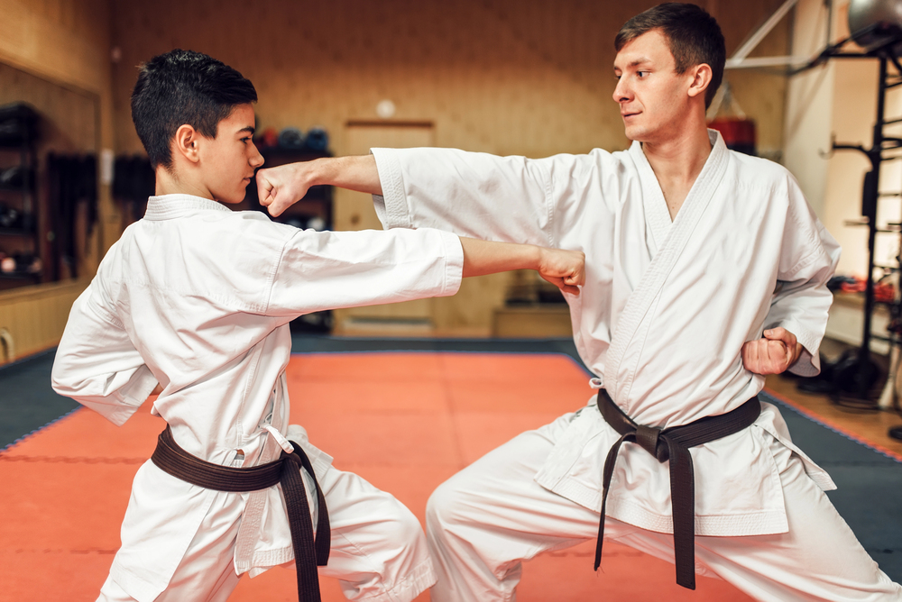 Martial arts training